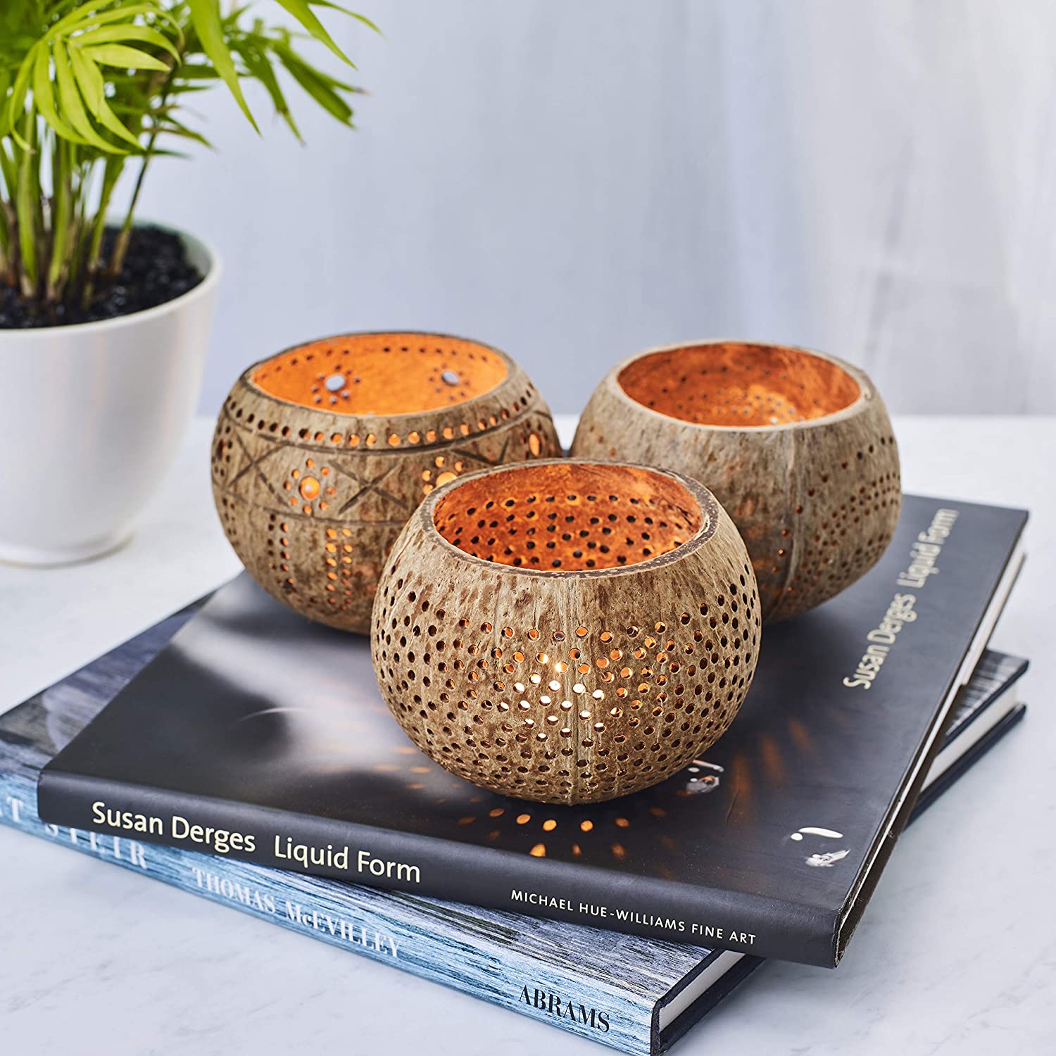 Jollifers Coconut Shell Candle Holders - Set of 3 Tropical Decor Coconut  Candles for Table Centrepieces - Natural & White Candle Coconuts for Tiki